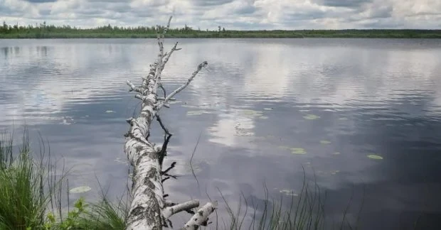 На Волині збереглося озеро віком до 8 тисяч років: вода в ньому майже чорна